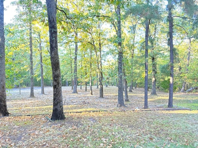 view of nature featuring a wooded view