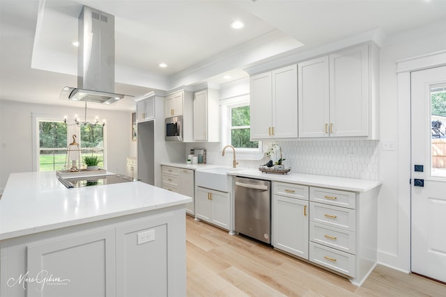 kitchen featuring stainless steel appliances, plenty of natural light, sink, and island range hood