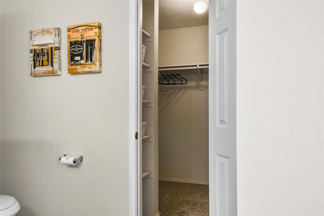 view of closet