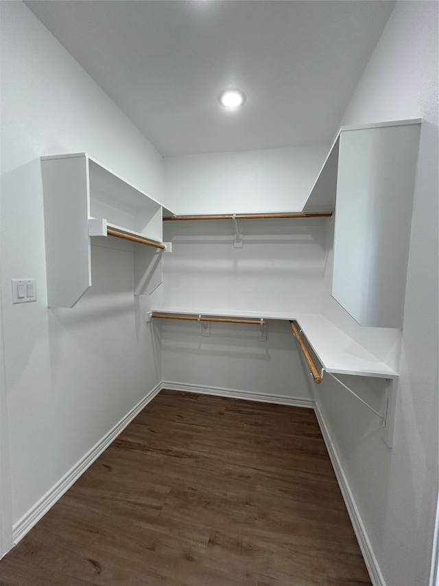 walk in closet featuring dark hardwood / wood-style floors