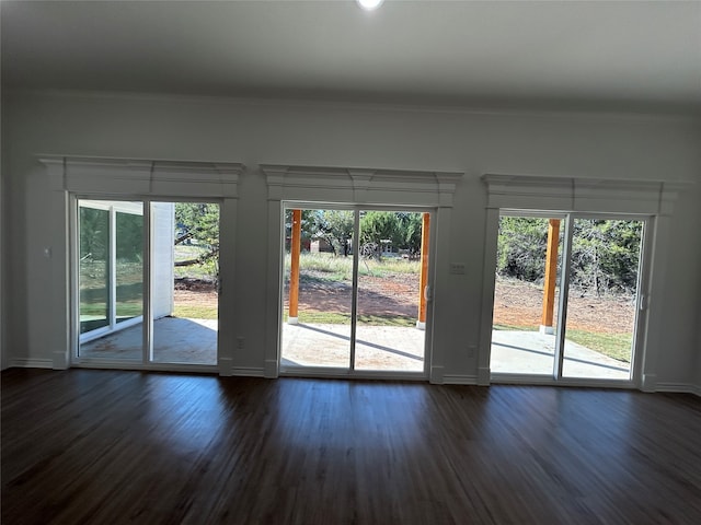 interior space featuring dark wood-type flooring