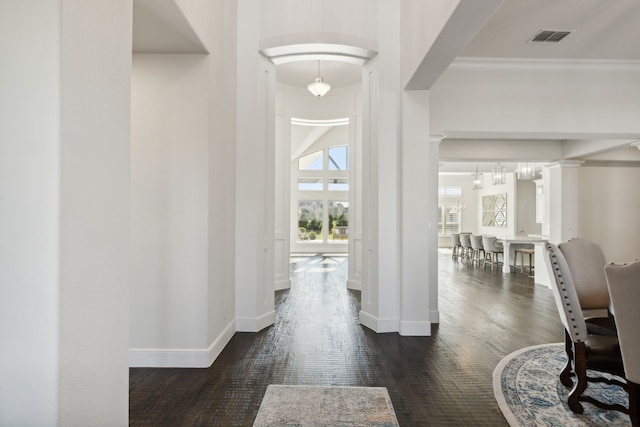 foyer entrance with dark hardwood / wood-style floors