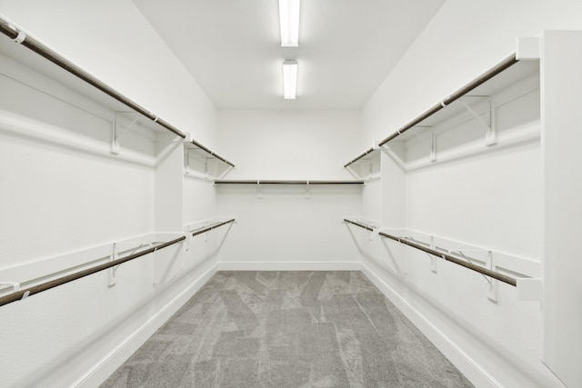 spacious closet with light carpet