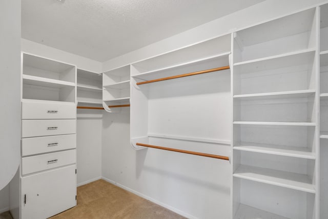 walk in closet with light carpet