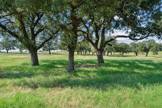 view of landscape