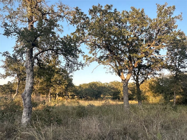 Listing photo 3 for 157 Paradise Oaks Ct, Paradise TX 76073