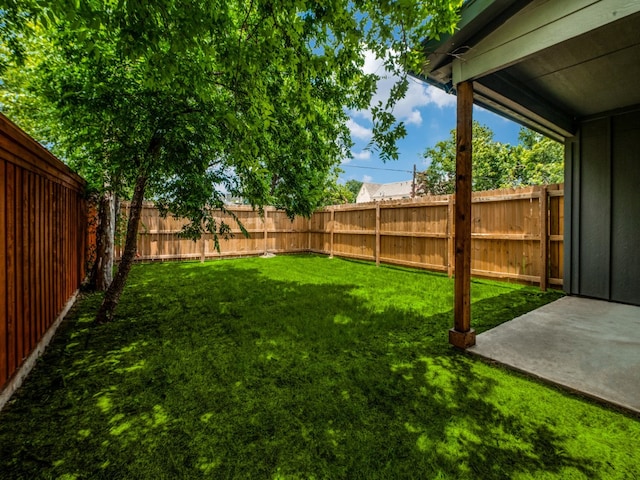 view of yard featuring a patio