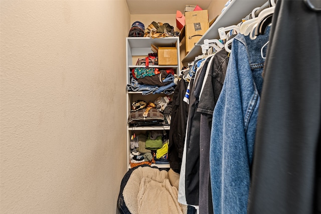 view of walk in closet