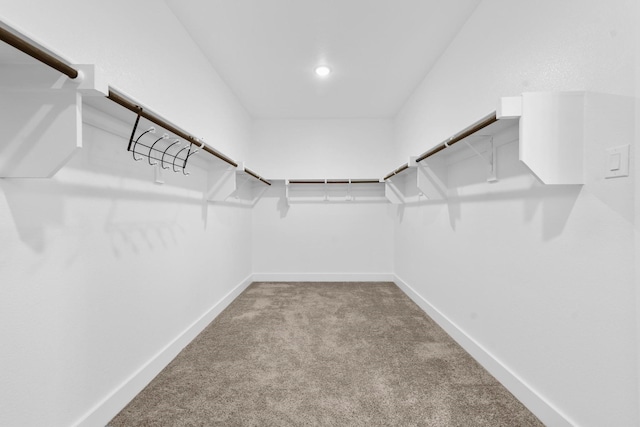 spacious closet with light carpet