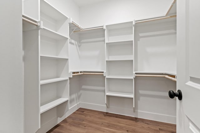 spacious closet featuring wood-type flooring