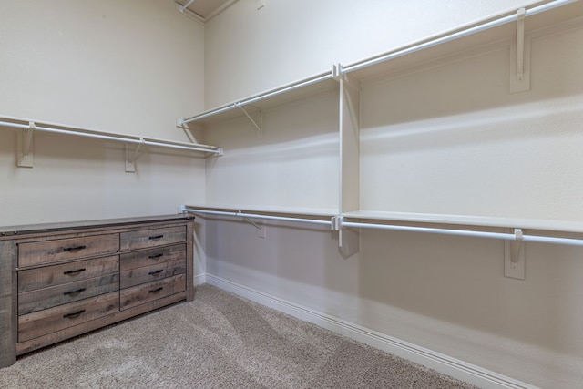 walk in closet with light colored carpet