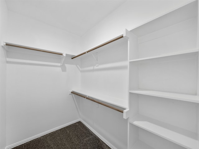 walk in closet featuring carpet flooring