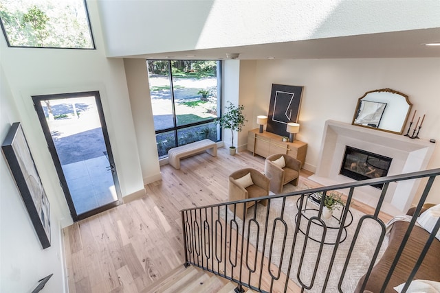 unfurnished room featuring light hardwood / wood-style flooring and ceiling fan