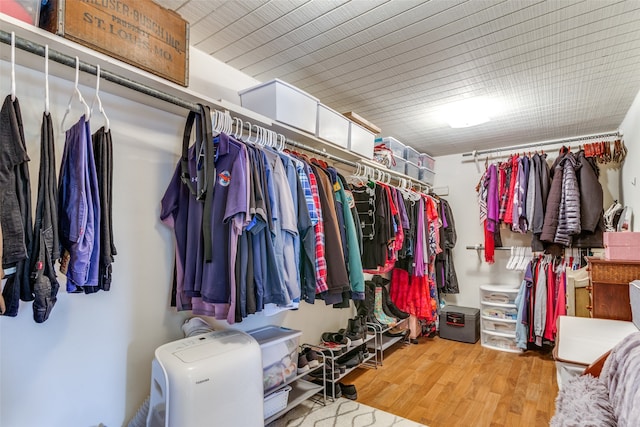 spacious closet with light hardwood / wood-style flooring