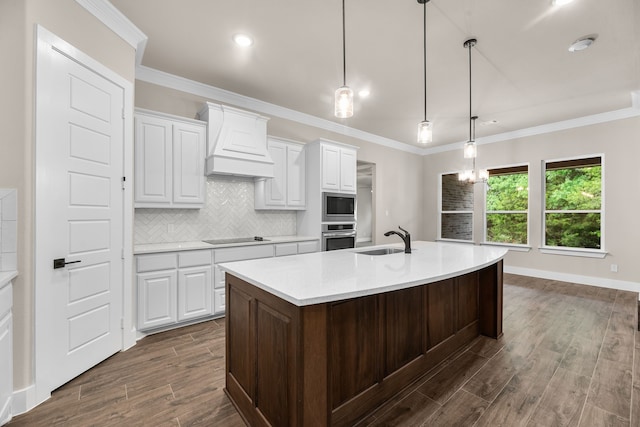 2201 Crystal Palace Blvd, Alvarado, TX 76009 - kitchen with custom exhaust hood, dark wood finished floors, a sink, light countertops, and appliances with stainless steel finishes