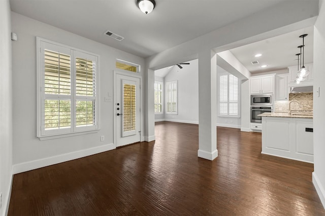 foyer featuring dark wood-type flooring, sink, and plenty of natural light