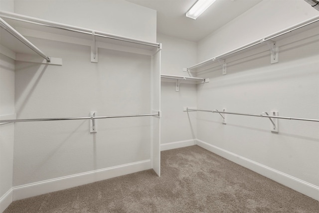 spacious closet with carpet floors