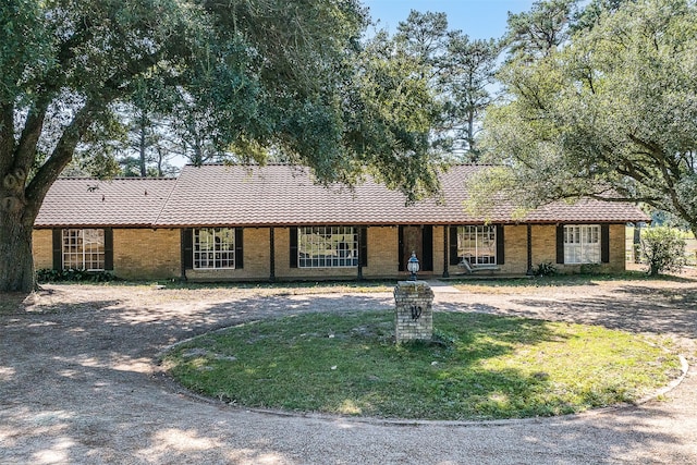 ranch-style home with a front lawn