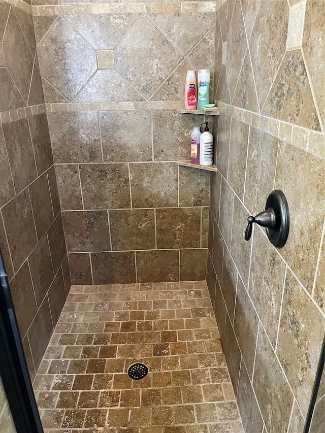 interior details featuring a tile shower