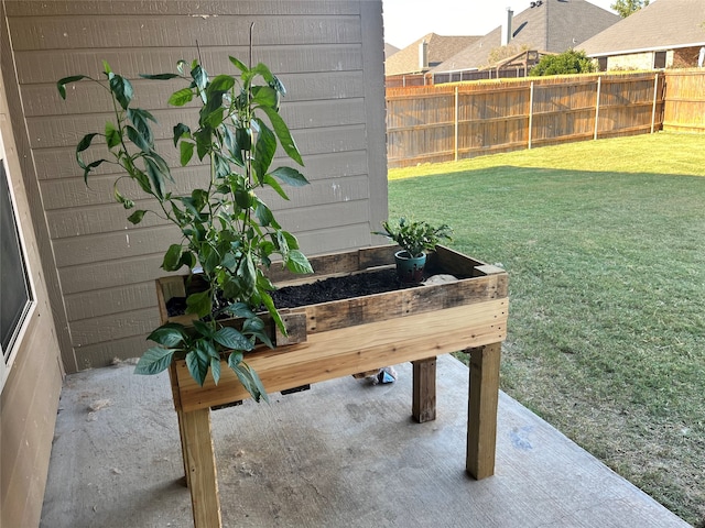 view of yard featuring a patio area