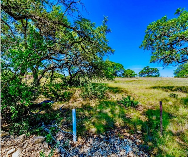 Listing photo 3 for 925 Annabelle Ave, Bulverde TX 78163