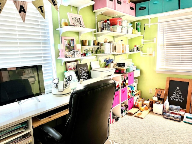 recreation room featuring carpet floors