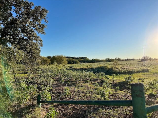 view of landscape with a rural view