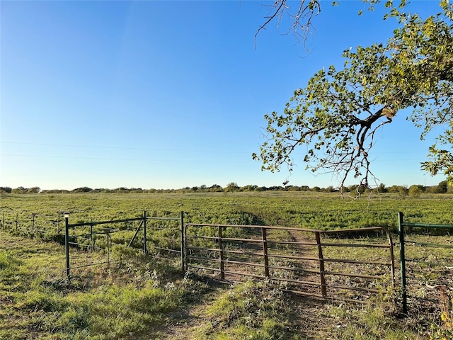 view of yard featuring a rural view