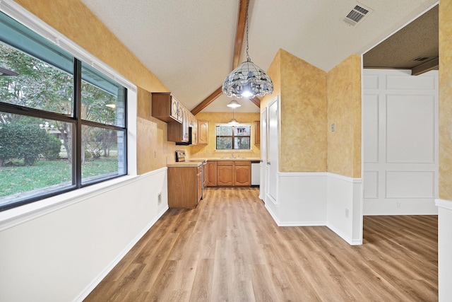 kitchen featuring pendant lighting, stainless steel appliances, light hardwood / wood-style flooring, and a wealth of natural light