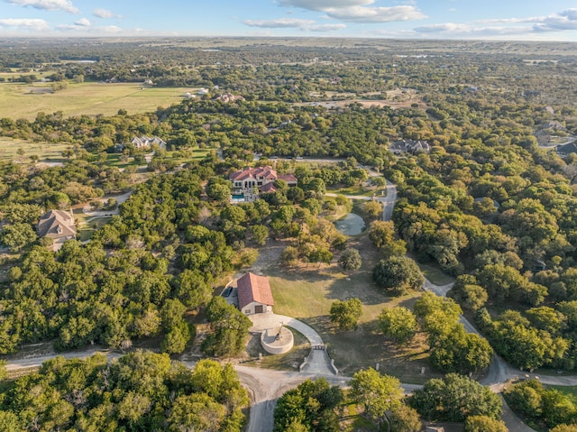 bird's eye view