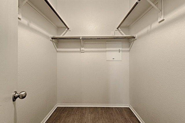 walk in closet featuring dark wood-type flooring