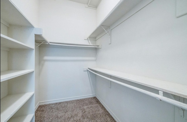 spacious closet with light carpet