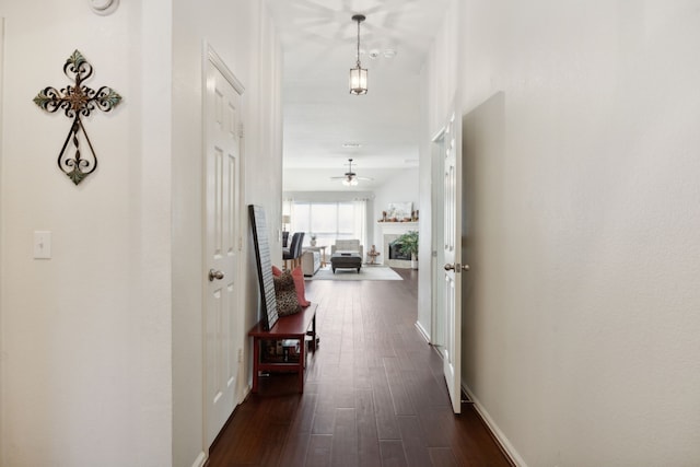 hall featuring dark wood-type flooring