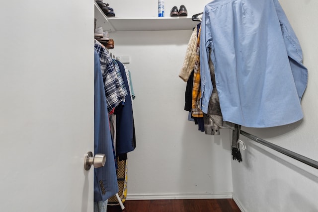 spacious closet featuring dark wood-type flooring