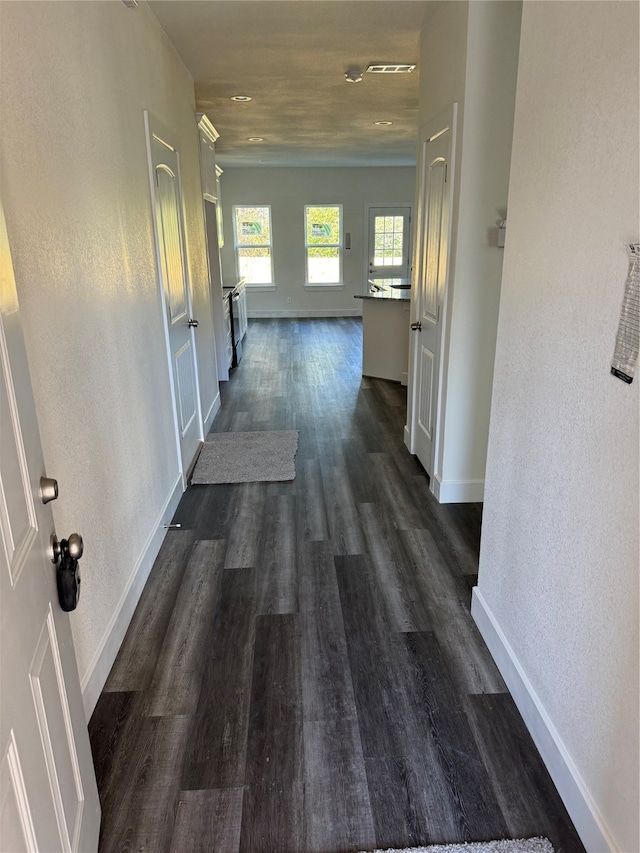 hall featuring dark hardwood / wood-style floors