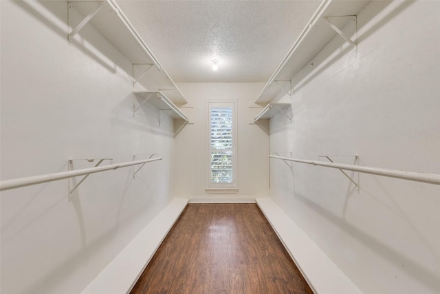 walk in closet with dark hardwood / wood-style flooring