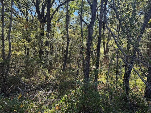 LOT401 Cordoba St, Payne Springs TX, 75156 land for sale