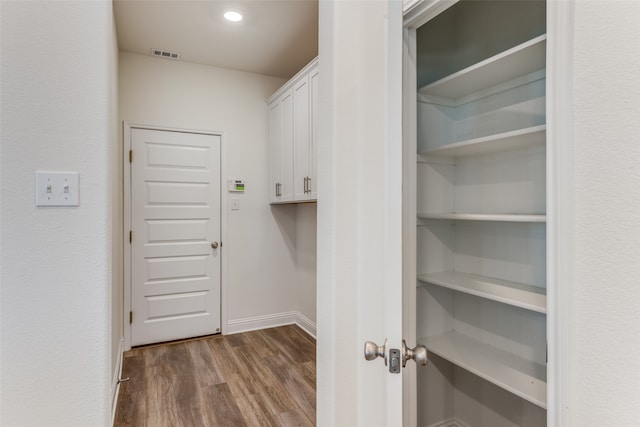 walk in closet featuring hardwood / wood-style floors