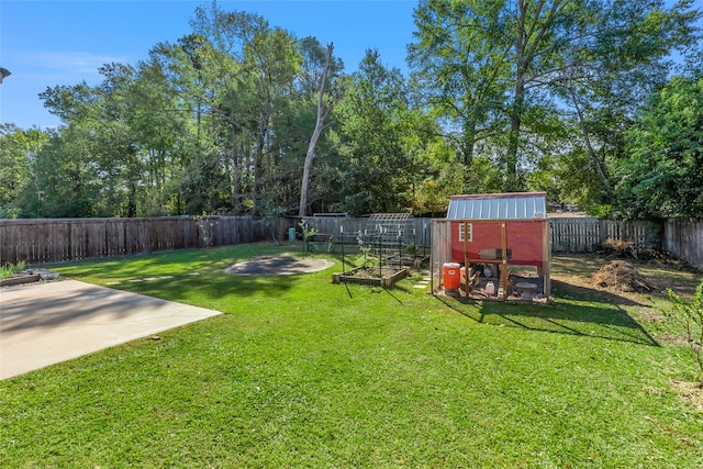 view of yard with a storage unit and a patio area