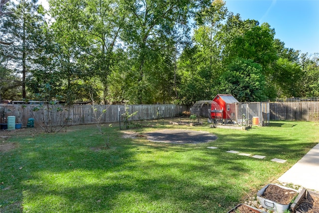 view of yard with a shed