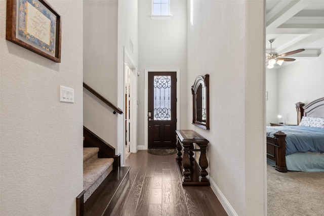 foyer with ceiling fan, ornamental molding, and dark hardwood / wood-style flooring