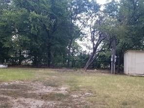 view of yard featuring a storage unit