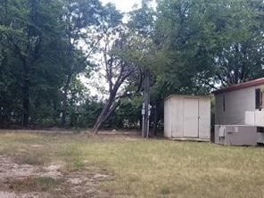 view of yard with a shed