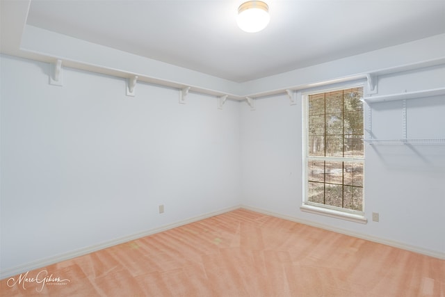 spacious closet with carpet