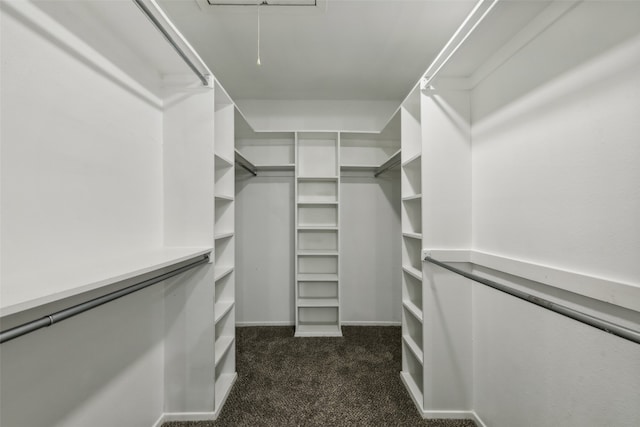 walk in closet with dark colored carpet and attic access