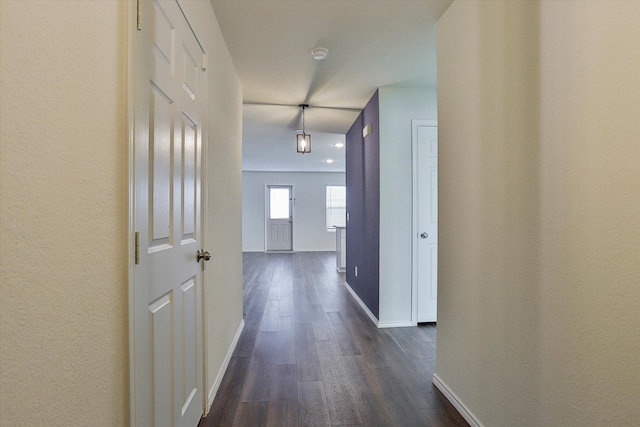 corridor featuring dark hardwood / wood-style flooring