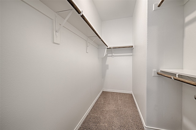 spacious closet featuring carpet flooring