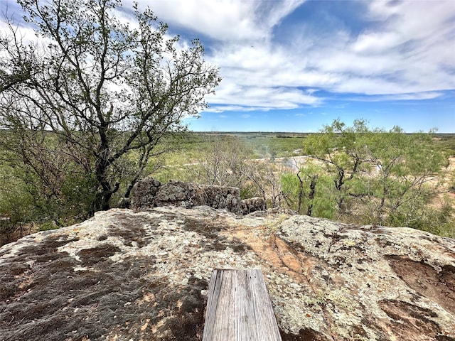 view of local wilderness