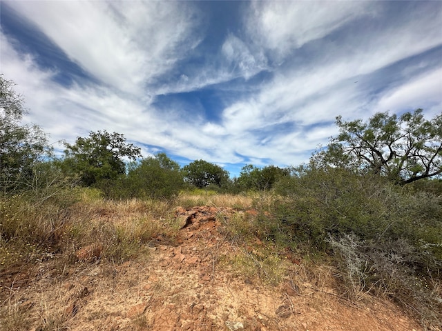 view of local wilderness