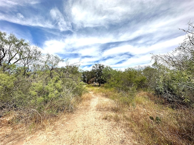 view of local wilderness